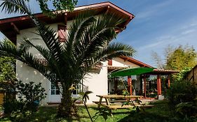 Nami House